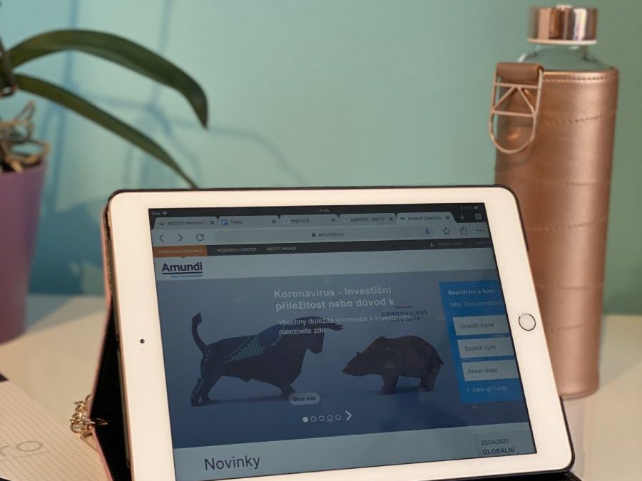 Jak se zachovat v obchodí medvědího trhu, tedy období poklesu?